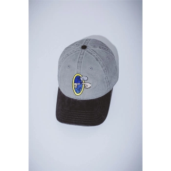 Czapka FUCKING AWESOME Fuck You Embroidered 6 Panel /Grey @PN26561